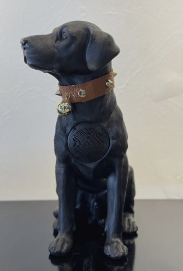 Black O White Speaker