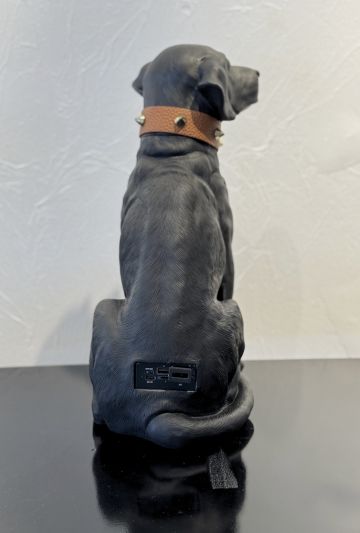 Black O White Speaker